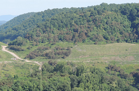 Imagen de tierras mineras recuperadas